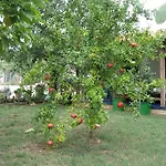 Apartamento Adelita *