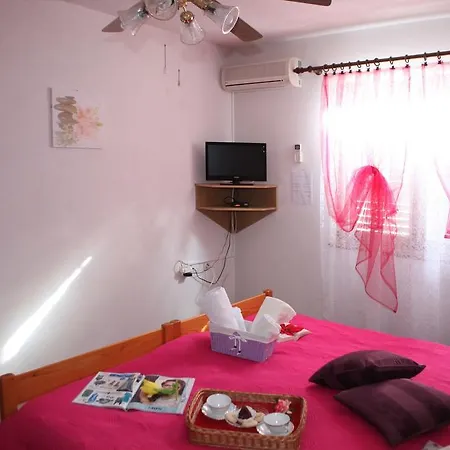 Adelita 波雷奇