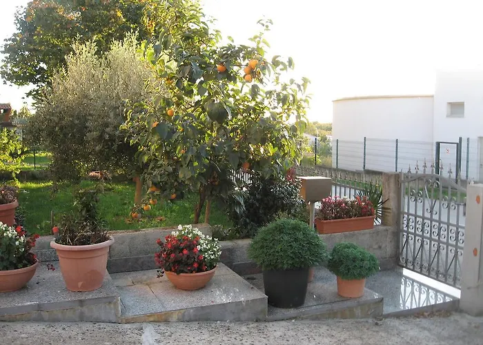 Apartment Adelita *