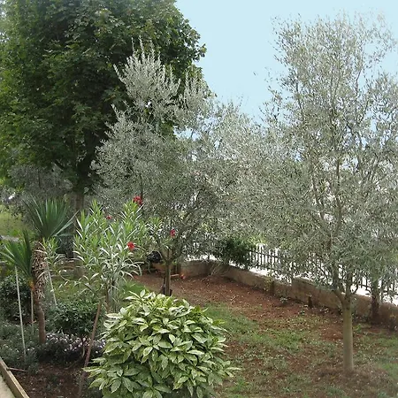 Apartman Adelita Poreč