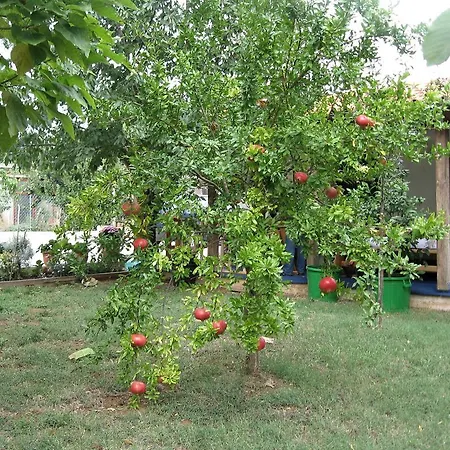 Appartamento Adelita *