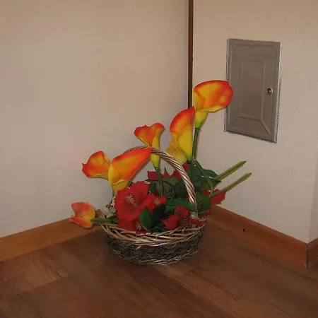 Adelita Apartment