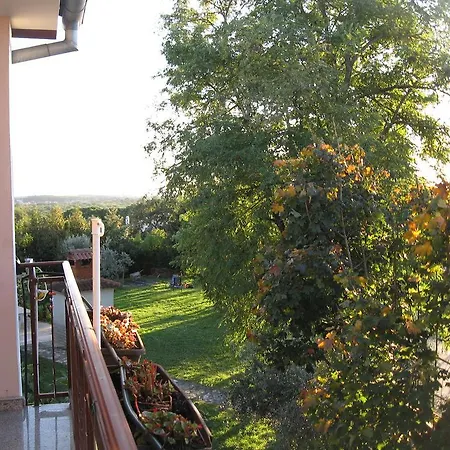 Adelita * Porec