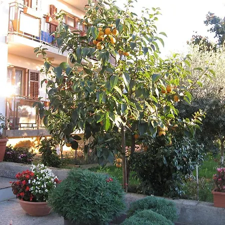 Adelita Poreč