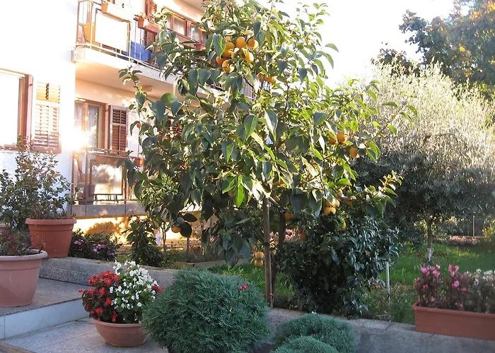 Adelita Poreč